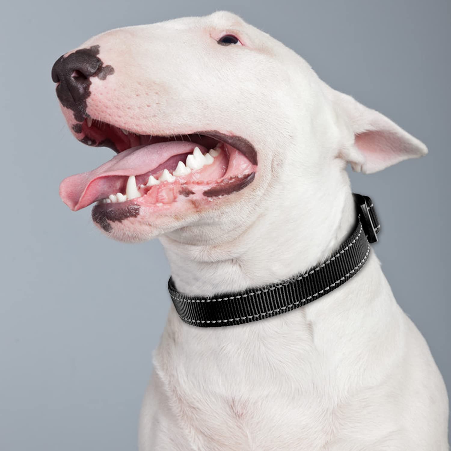 Joytale Reflective Dog Collar